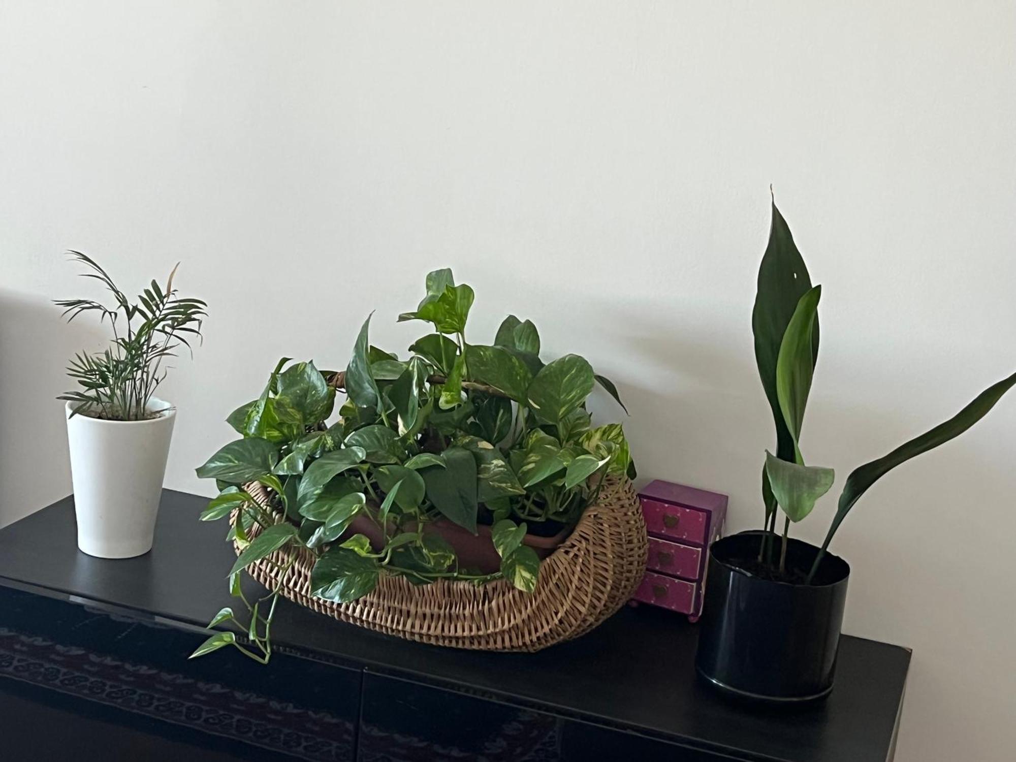 Friends And Family Apartment Бреша Екстериор снимка